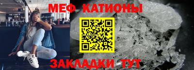 стафф Кингисепп