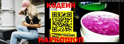 стафф Кингисепп