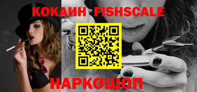 стафф Кингисепп