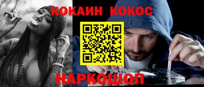 стафф Кингисепп
