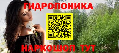 крисы Канаш