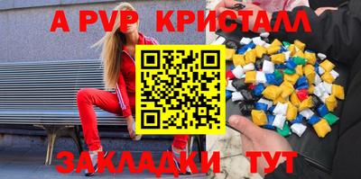 стафф Кингисепп