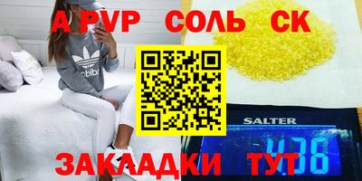стафф Кингисепп