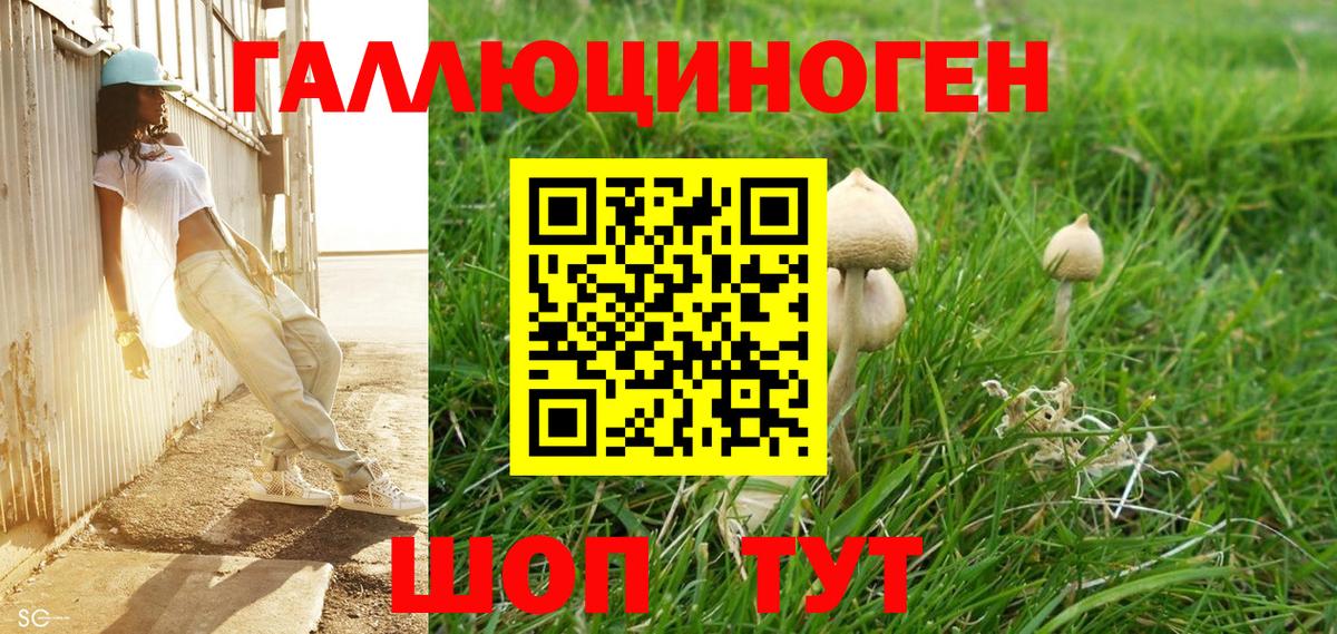 Псилоцибиновые грибы Magic Shrooms Чебаркуль