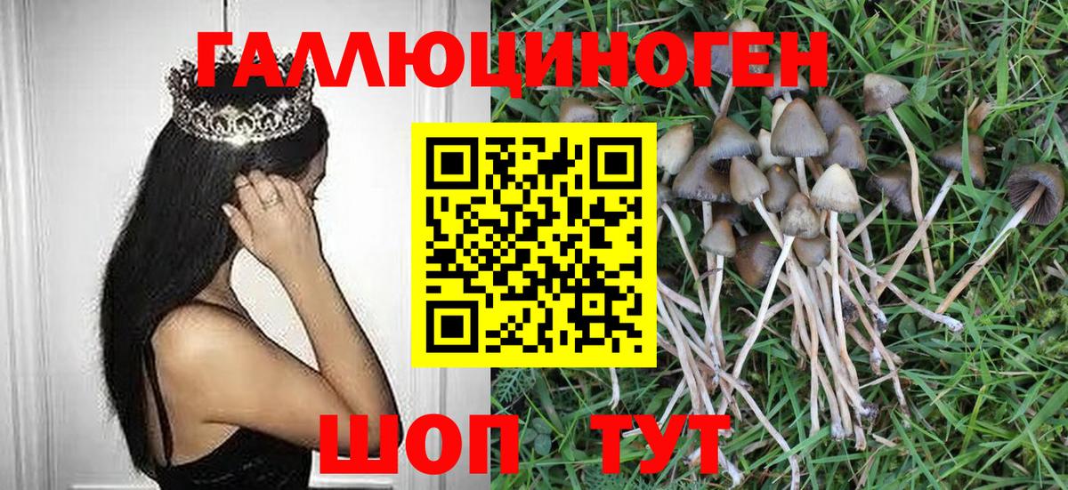 Псилоцибиновые грибы мухоморы  Вход с VPN  Чебаркуль 